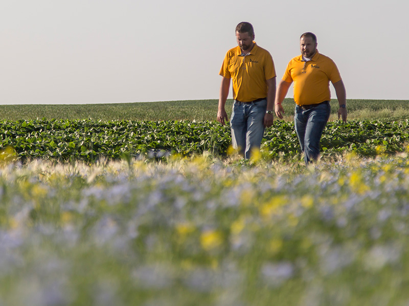meridian_seeds_about_us_walking_in_field