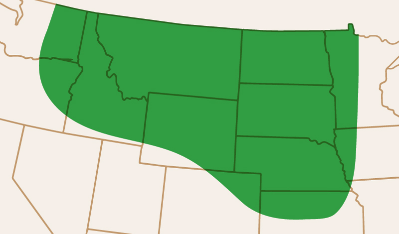meridian_seeds_greenpea_AACComfort_adaptation_map