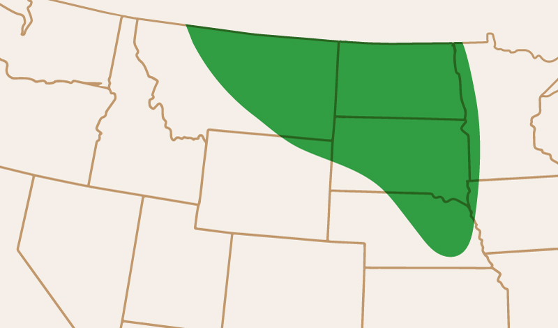 meridian_seeds_greenpea_CDCGreenwater_adaptation_map