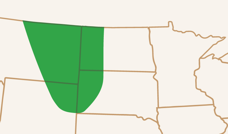 meridian_seeds_springwheat_MSCamaro_adaptation_map