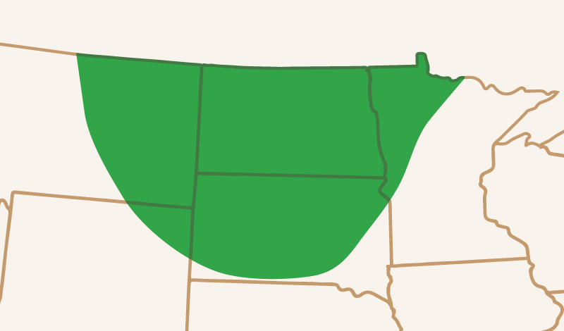 meridian_seeds_springwheat_MSChevelle_adaptation_map