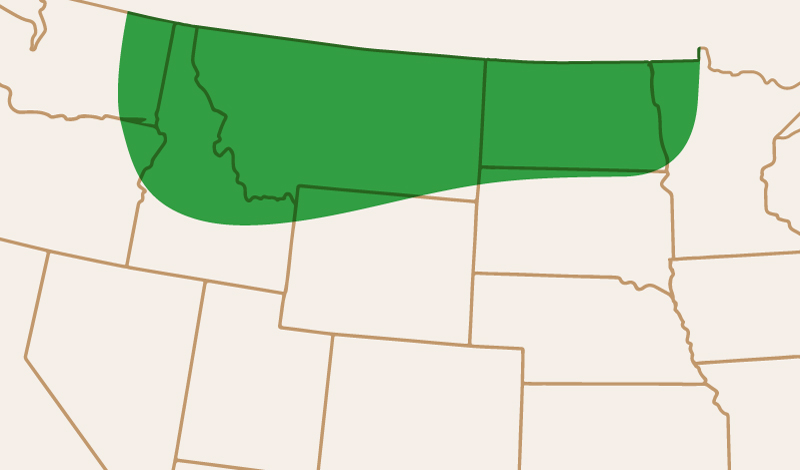 meridian_seeds_yellowpea_ACAgassiz_adaptation_map meridian seeds yellow pea_AC Agassiz adaptation map