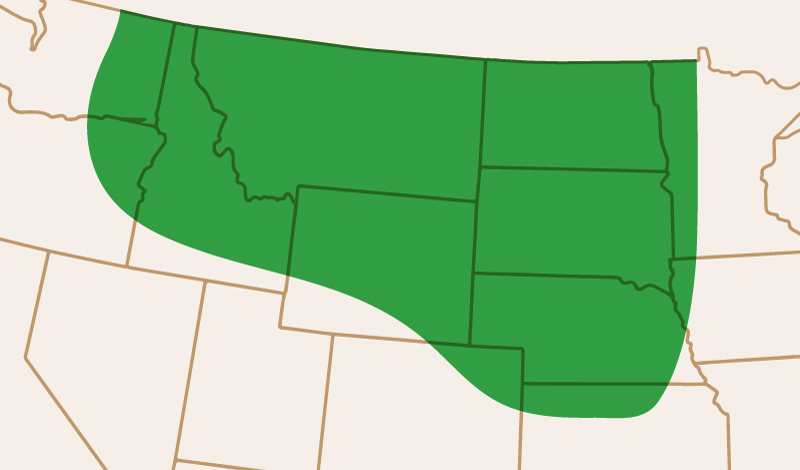 meridian_seeds_yellowpea_CDCSpectrum_adaptation_map