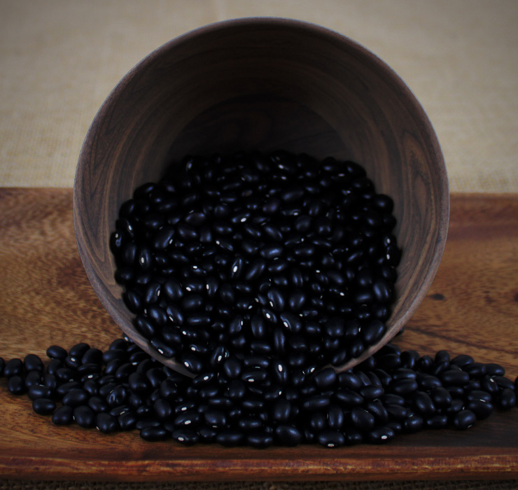 Edible-Bean-Black-Variety-Page