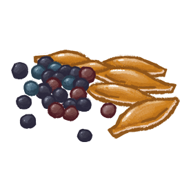 Illustration of oilseeds, flax and canola seed for sale