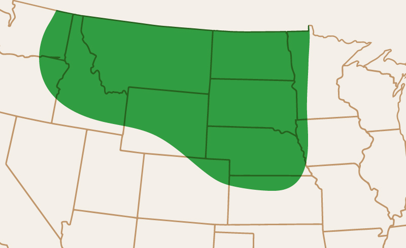 Area of Adaptation AAC Carver