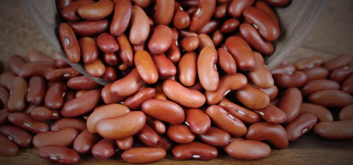 When growing varieties of kidney bean, plant high quality seeds