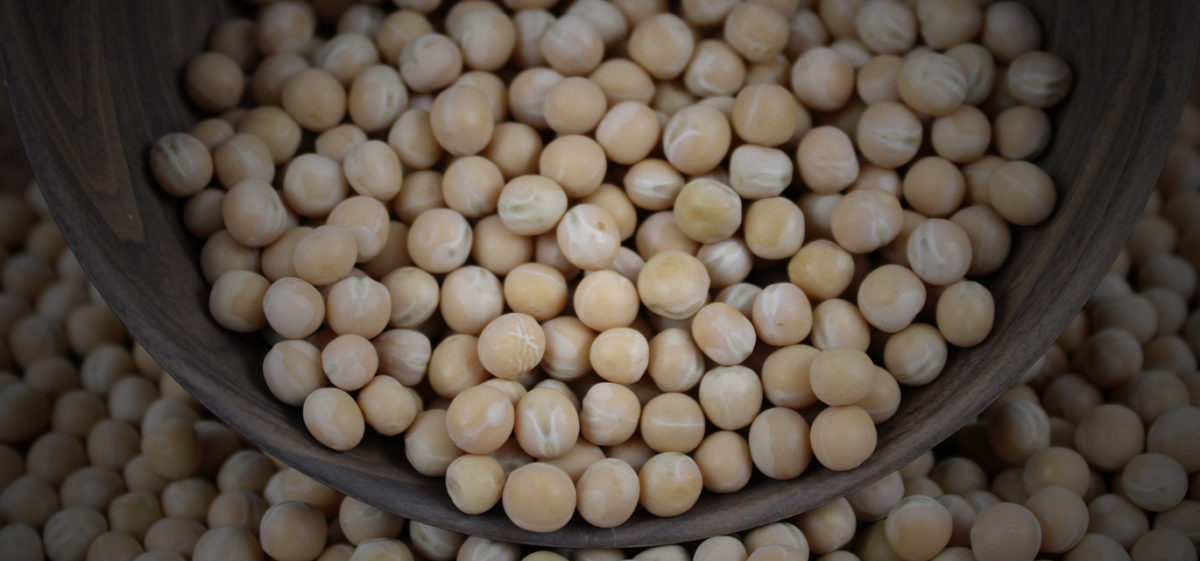 Premium field peas — seed for yellow peas