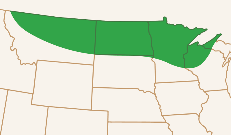 Spring Wheat Location Map Hard Red Spring Wheat Seed - Meridian Seeds